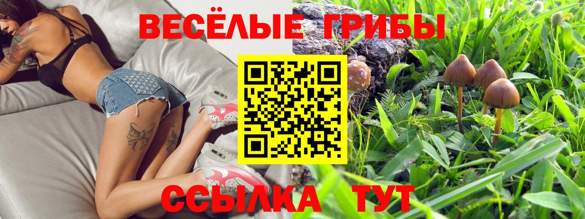 Клинцы  Псилоцибиновые грибы Psilocybe  Псилоцибиновые грибы прущие грибы  Вход с VPN 